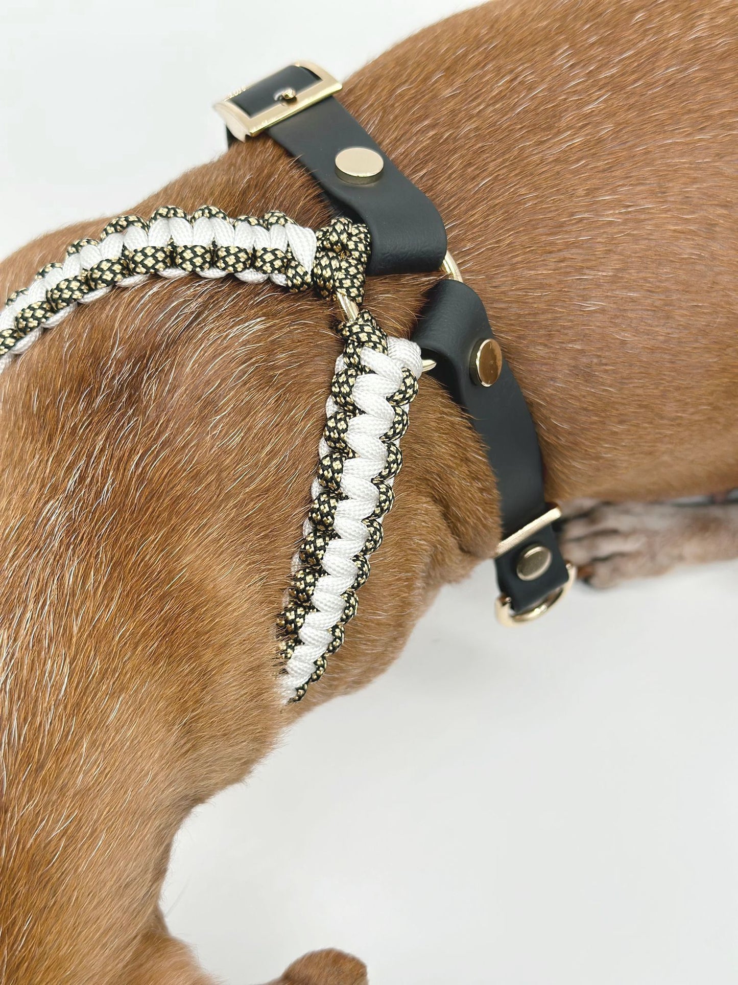 APRICUS // figure-8 harness