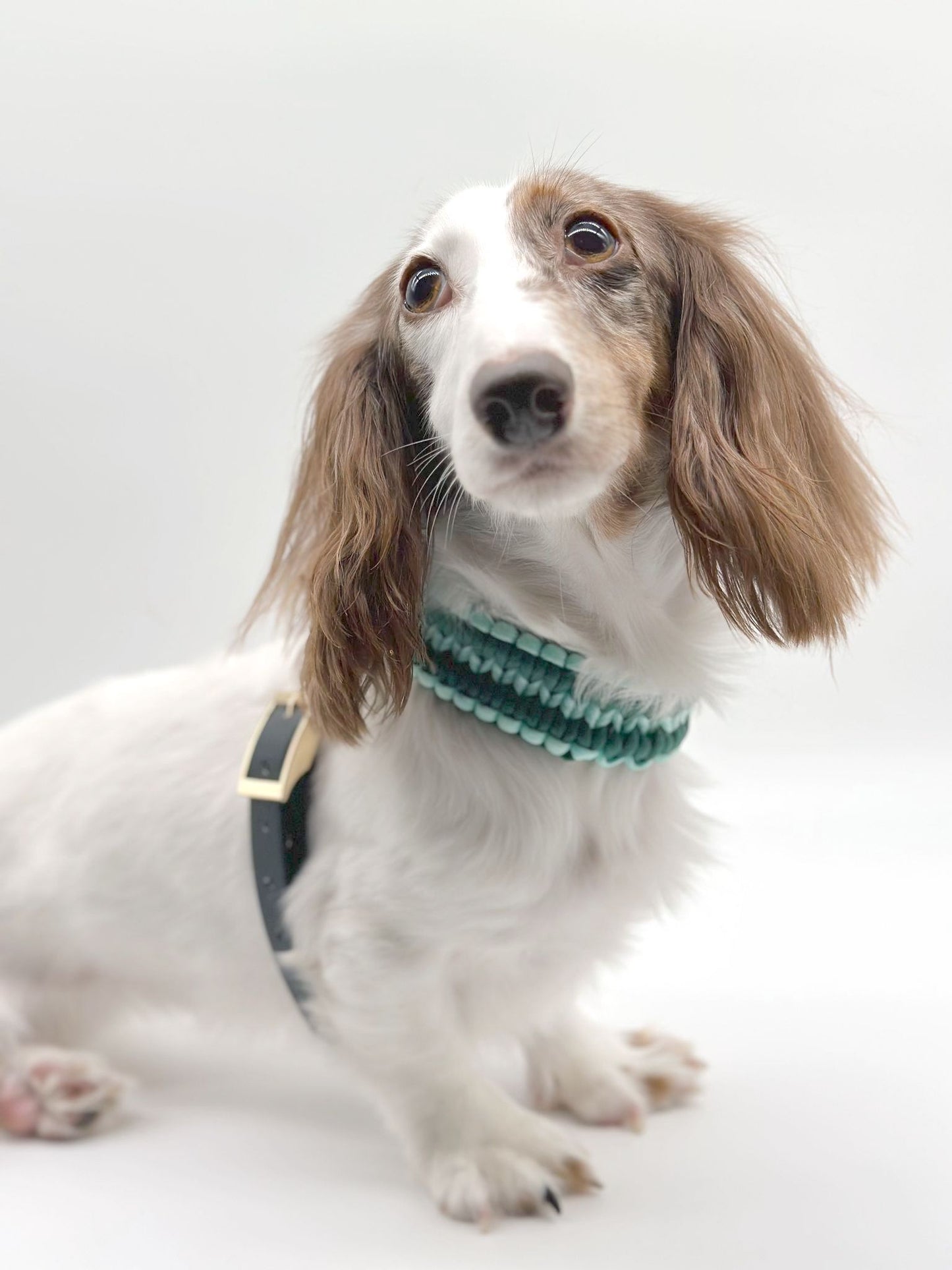 SPISSUS // figure-8 harness