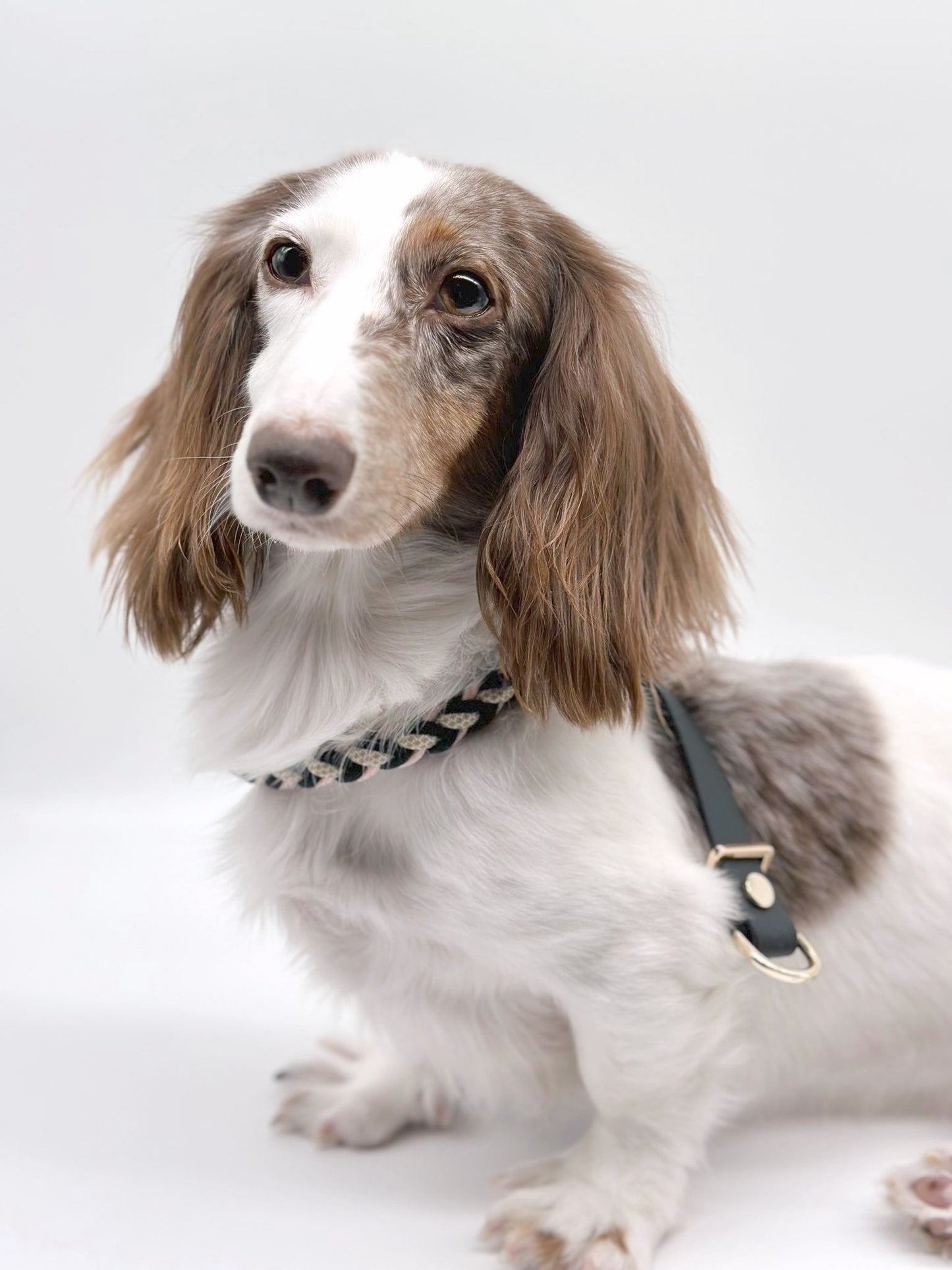 TELUM // figure-8 harness