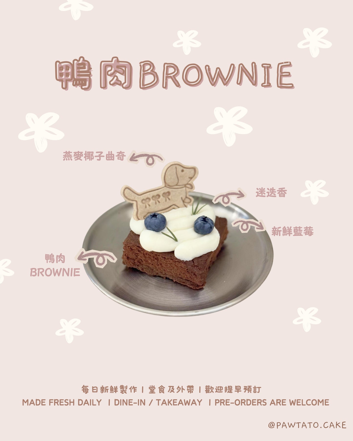 DOGGIE BROWNIE // pet cake