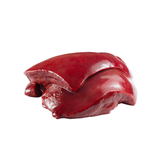Beef Liver (per g) // RAW