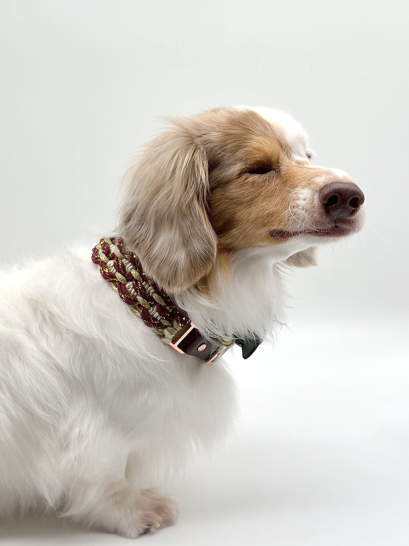 VITTA // adjustable collar