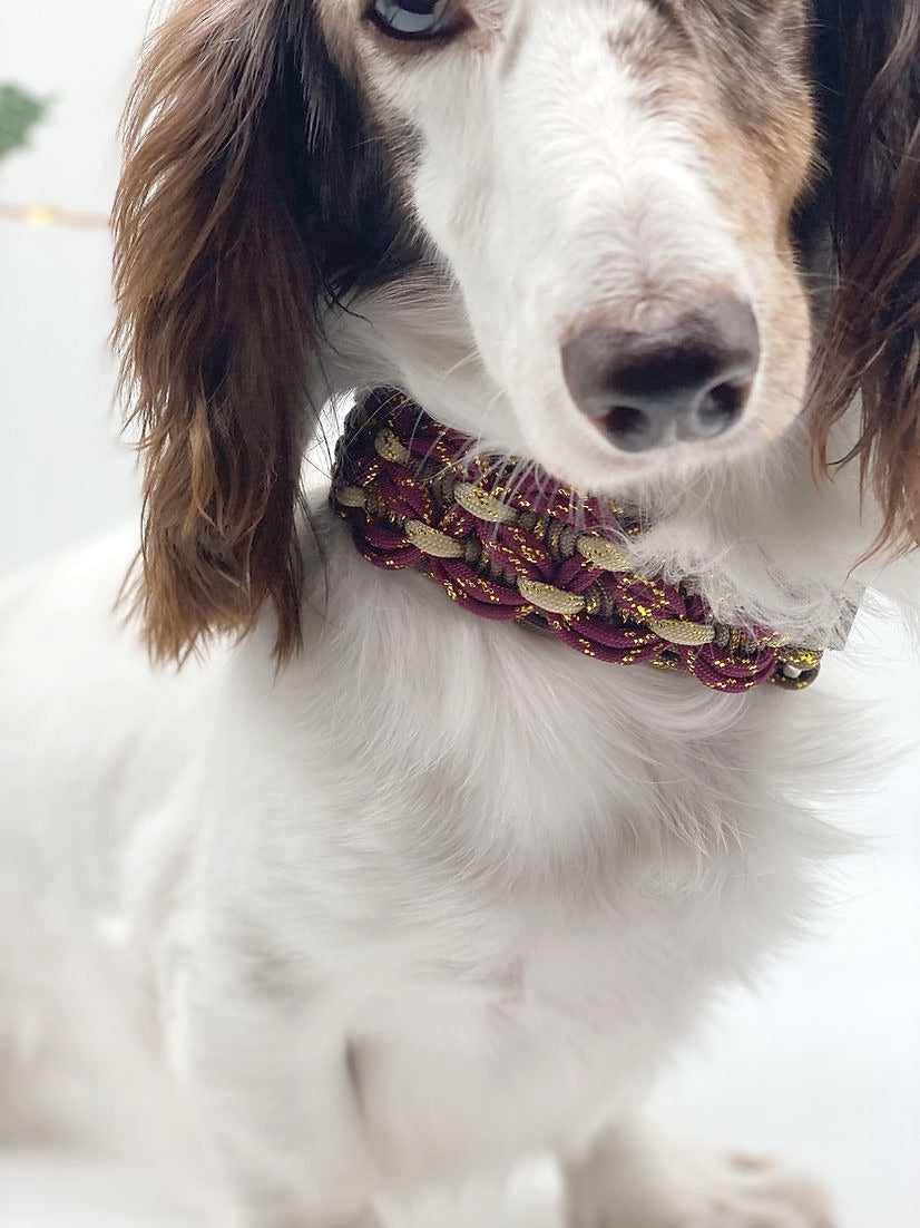 VITTA // adjustable martingale collar
