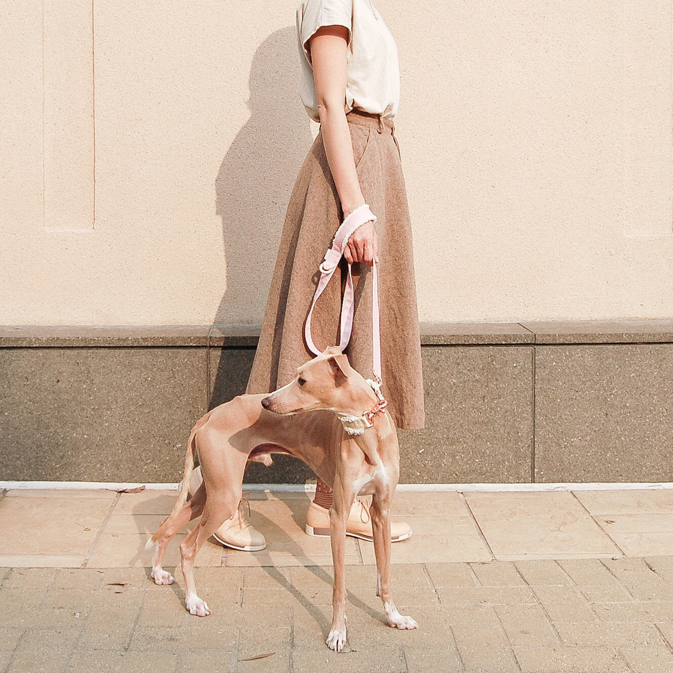 MOU // regular leash