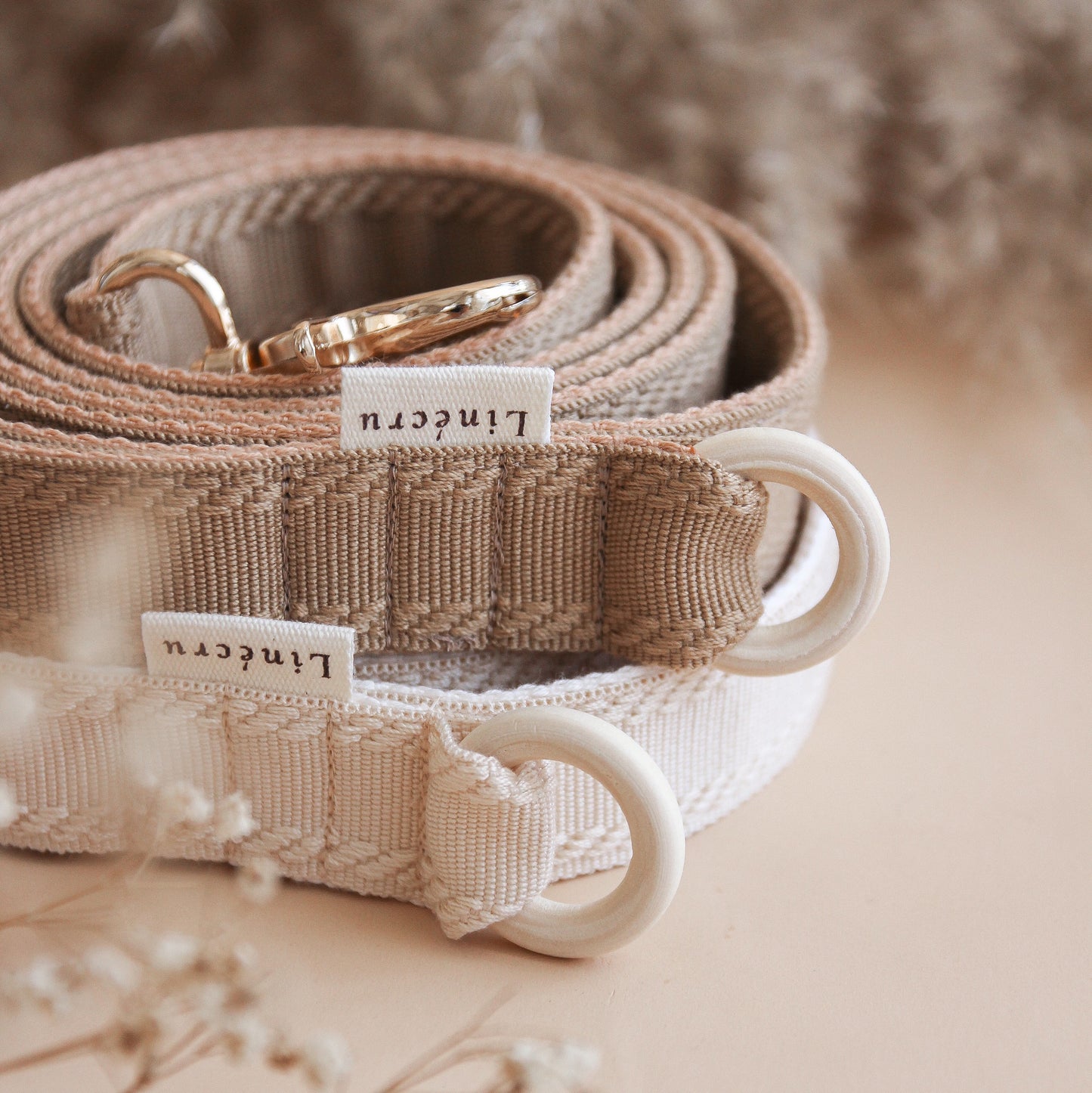 RA // regular leash