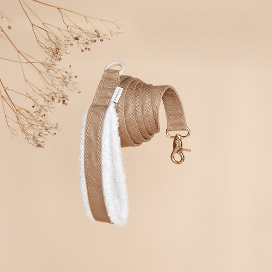 MOU // regular leash