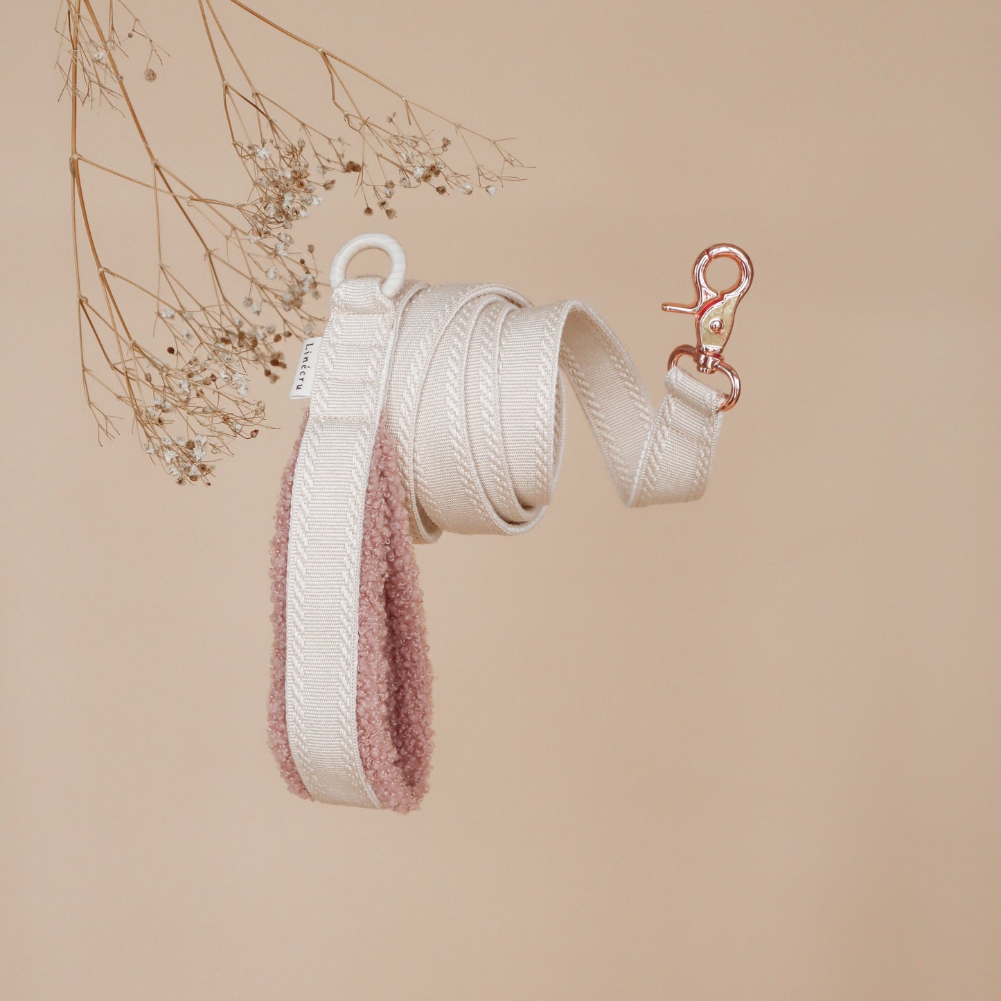 MOU // regular leash