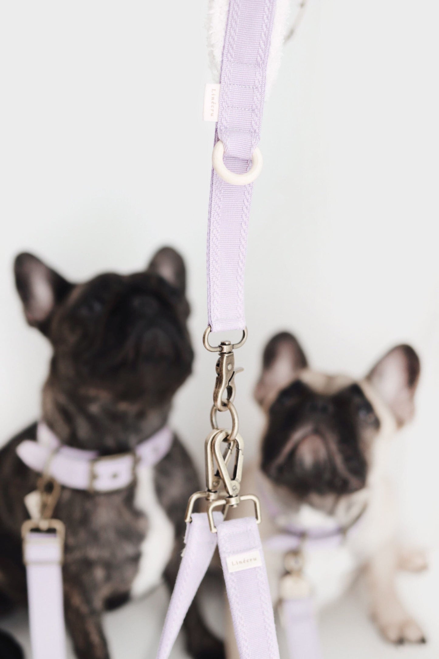 LIIK // traffic leash