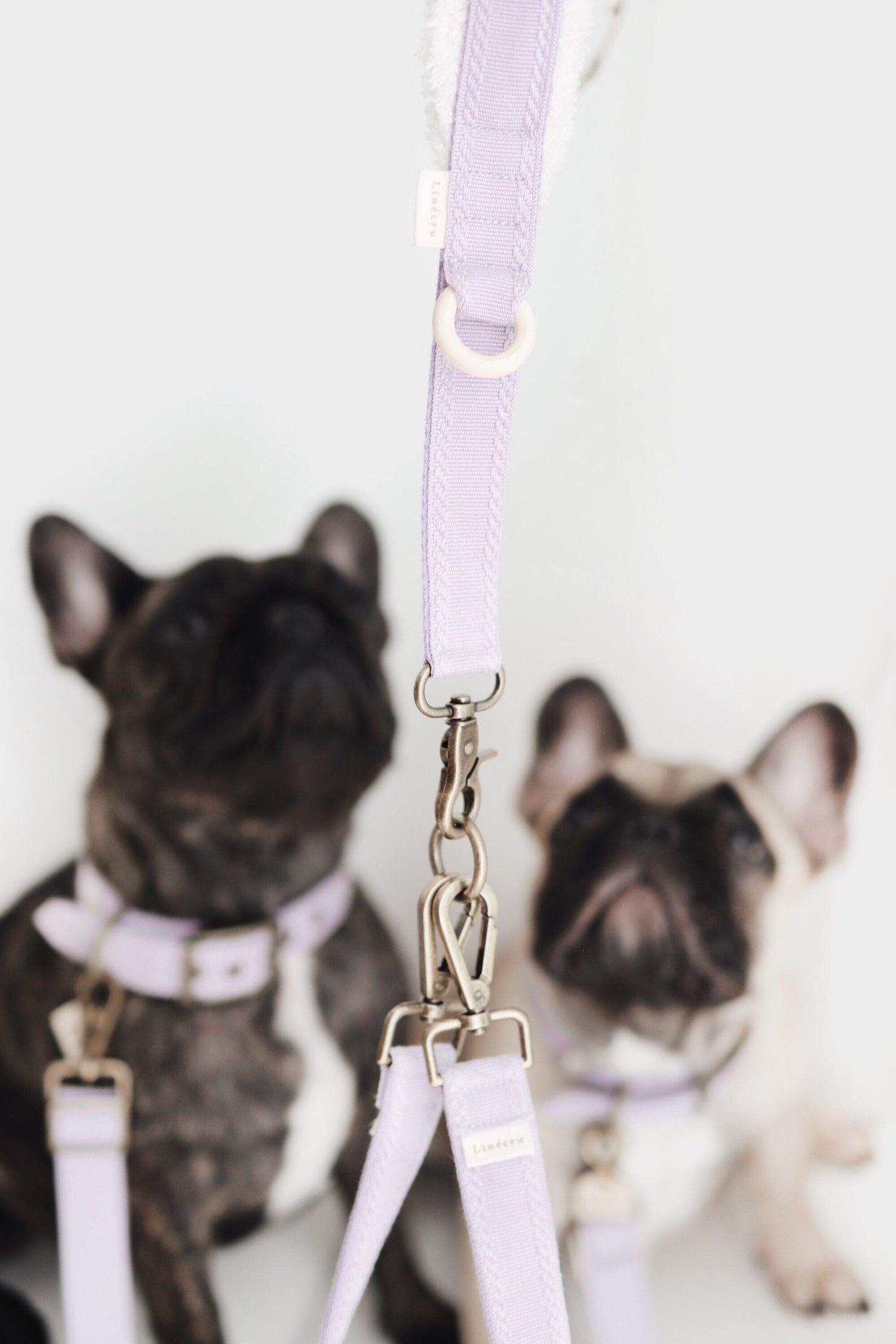 LJOS // traffic coupler leash