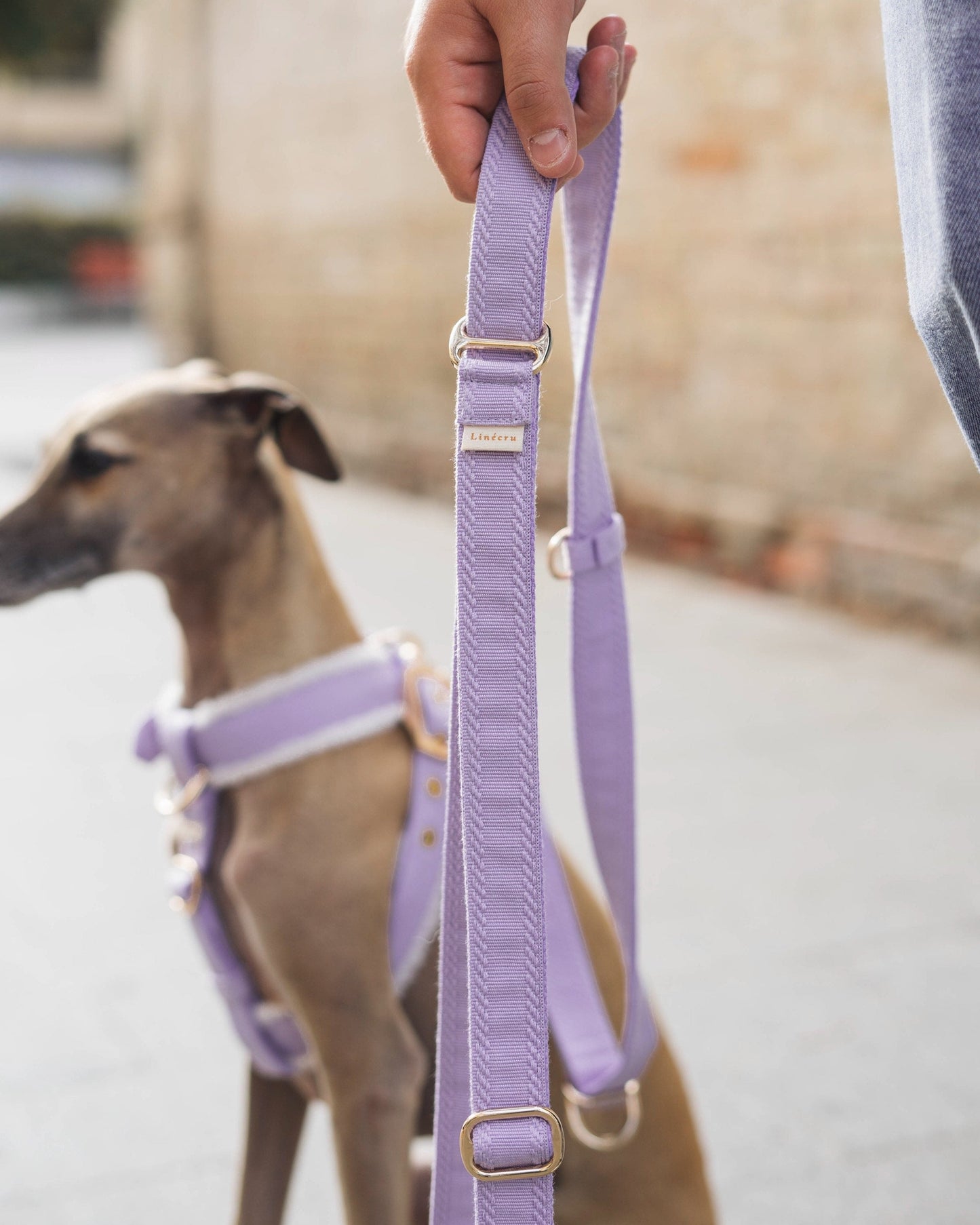 YKSI // crossbody leash