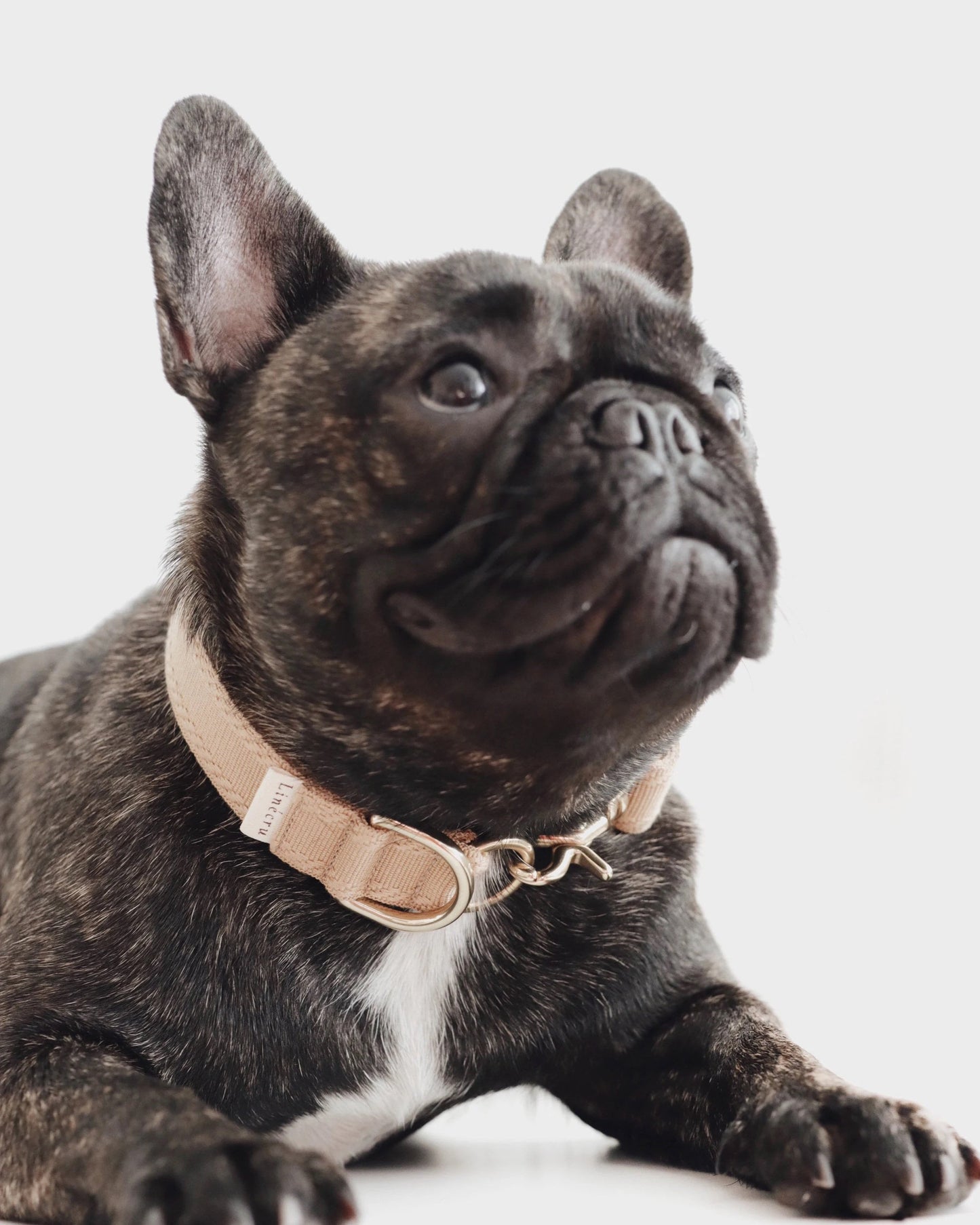 OME // exquisite collar