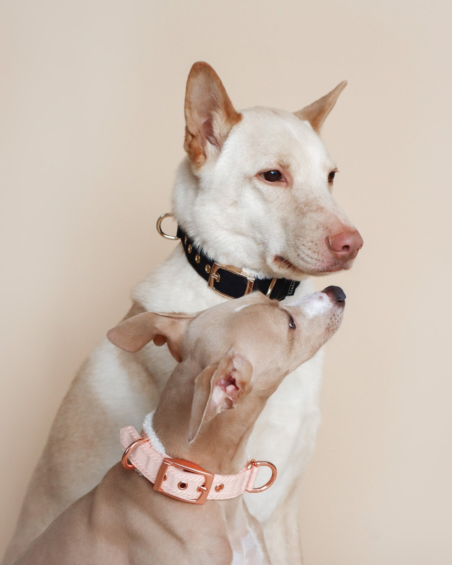 HUO // fluffy two-way collar