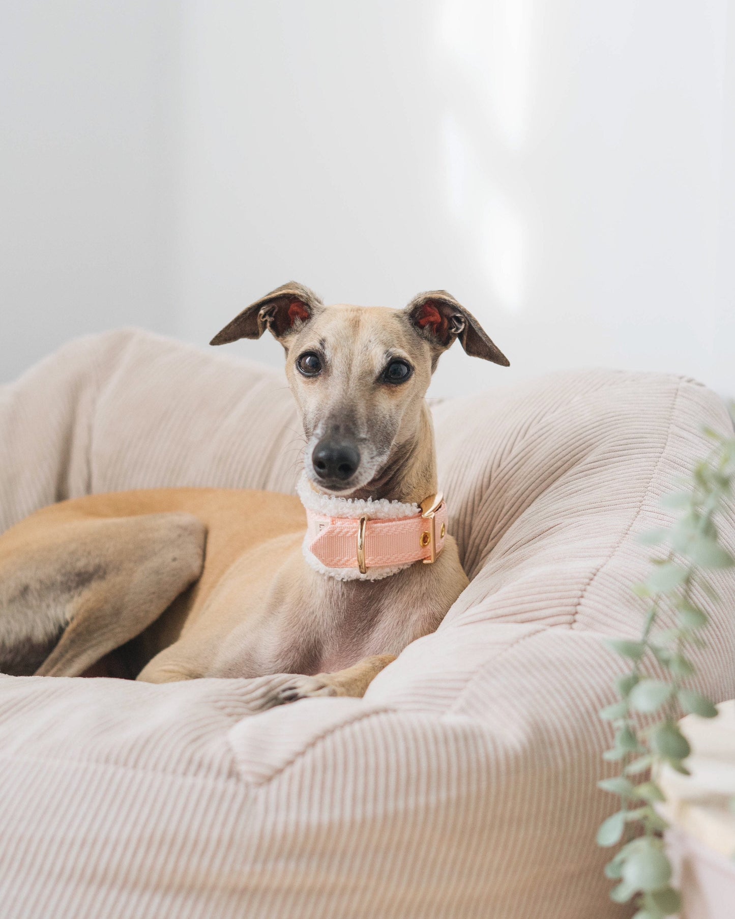 HUO // fluffy two-way collar