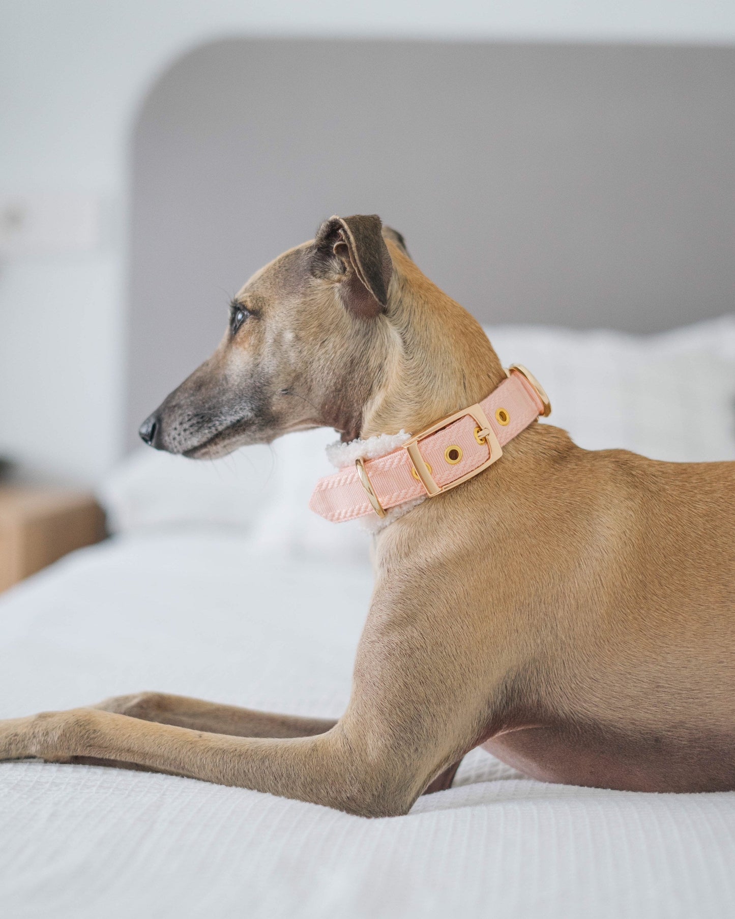 HUO // fluffy two-way collar