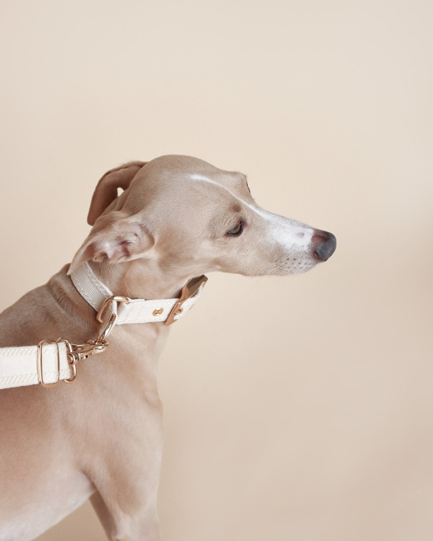 HUO // plain two-way collar