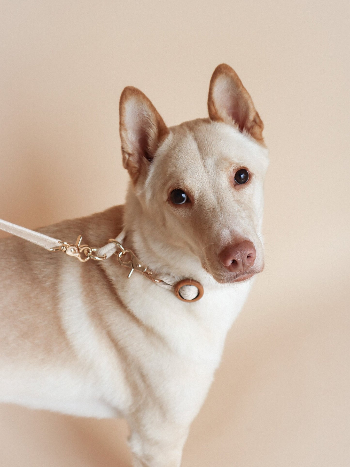 NODO // slip collar