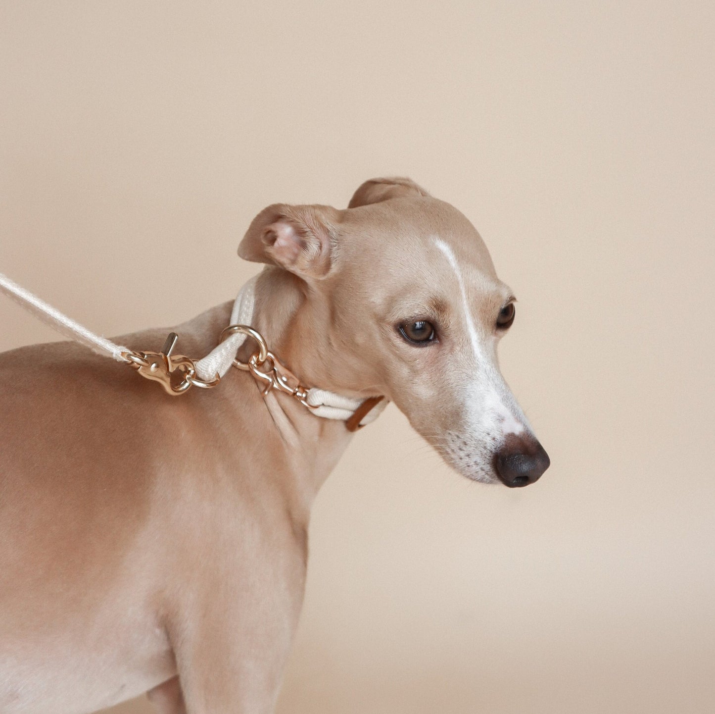 NODO // slip collar