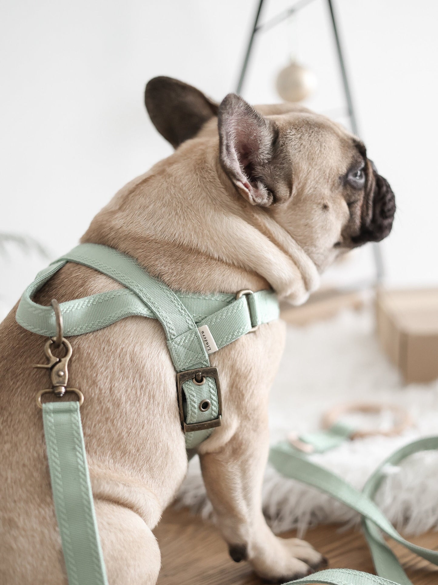 Å // plain harness