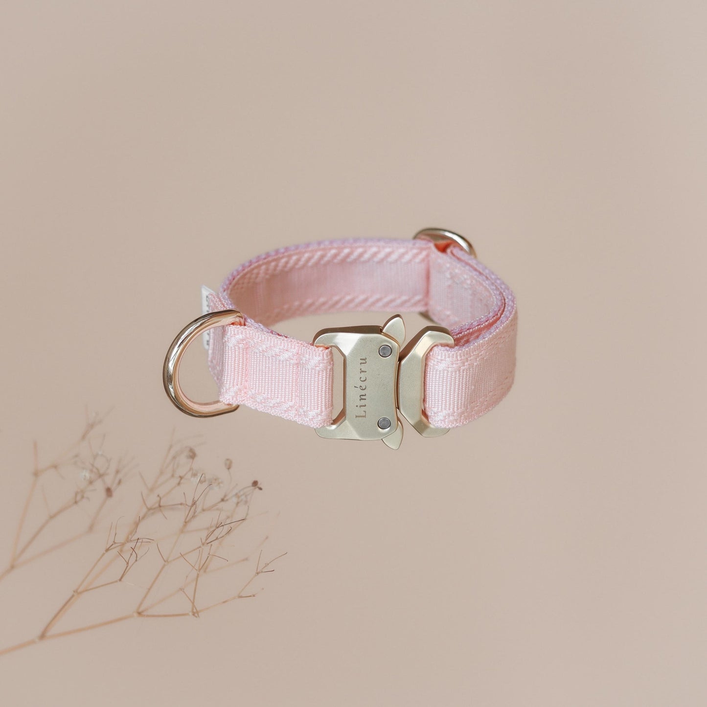 CLAI // classic collar