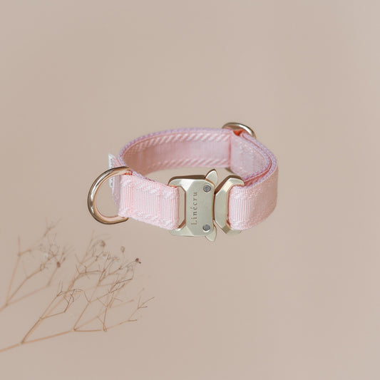 CLAI // classic collar