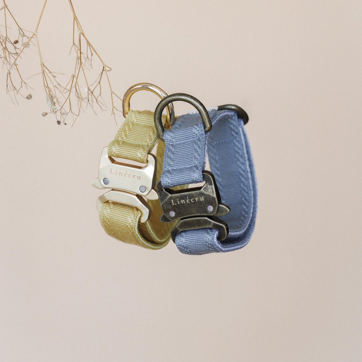 CLAI // classic collar