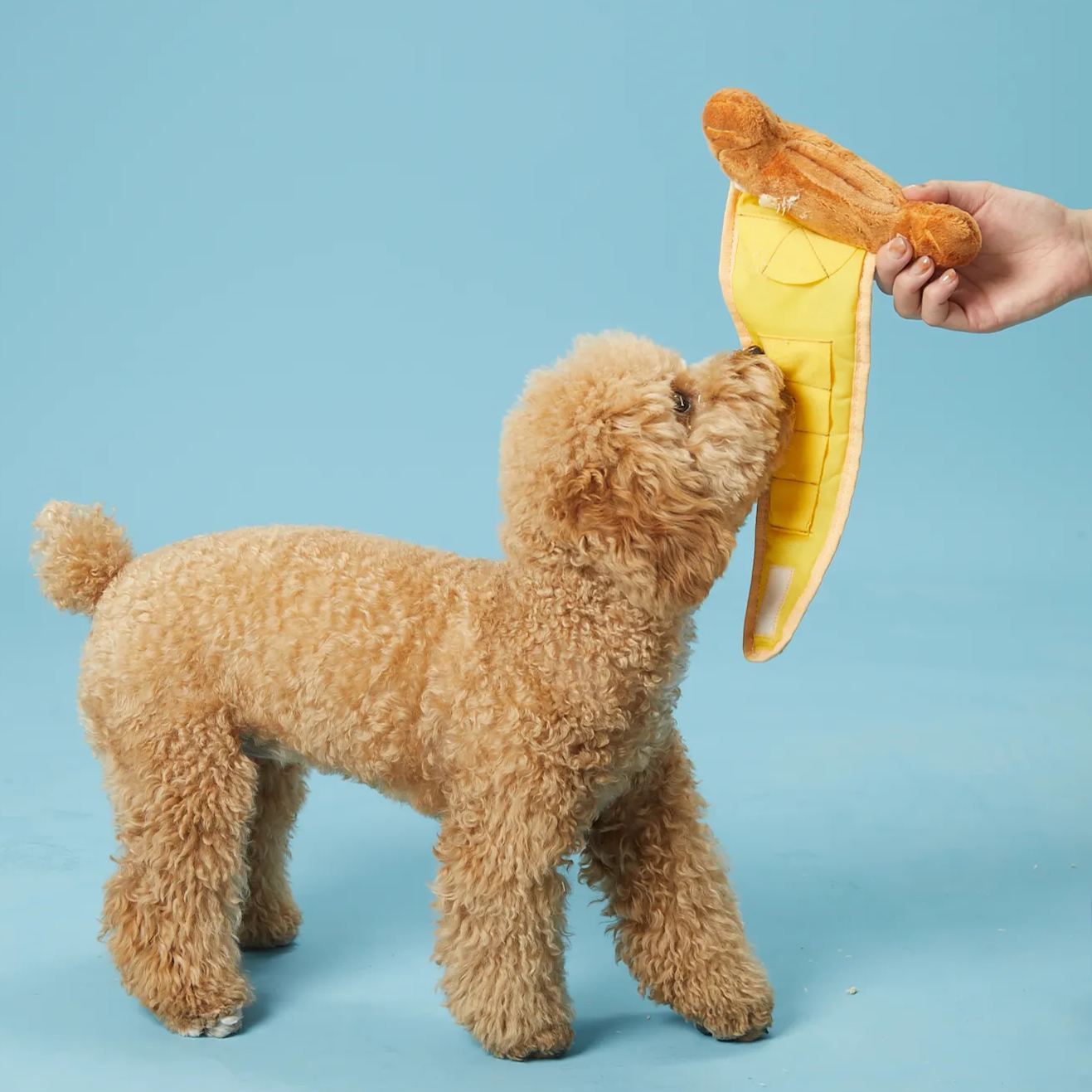 CROISSANT SET // snuffle toy