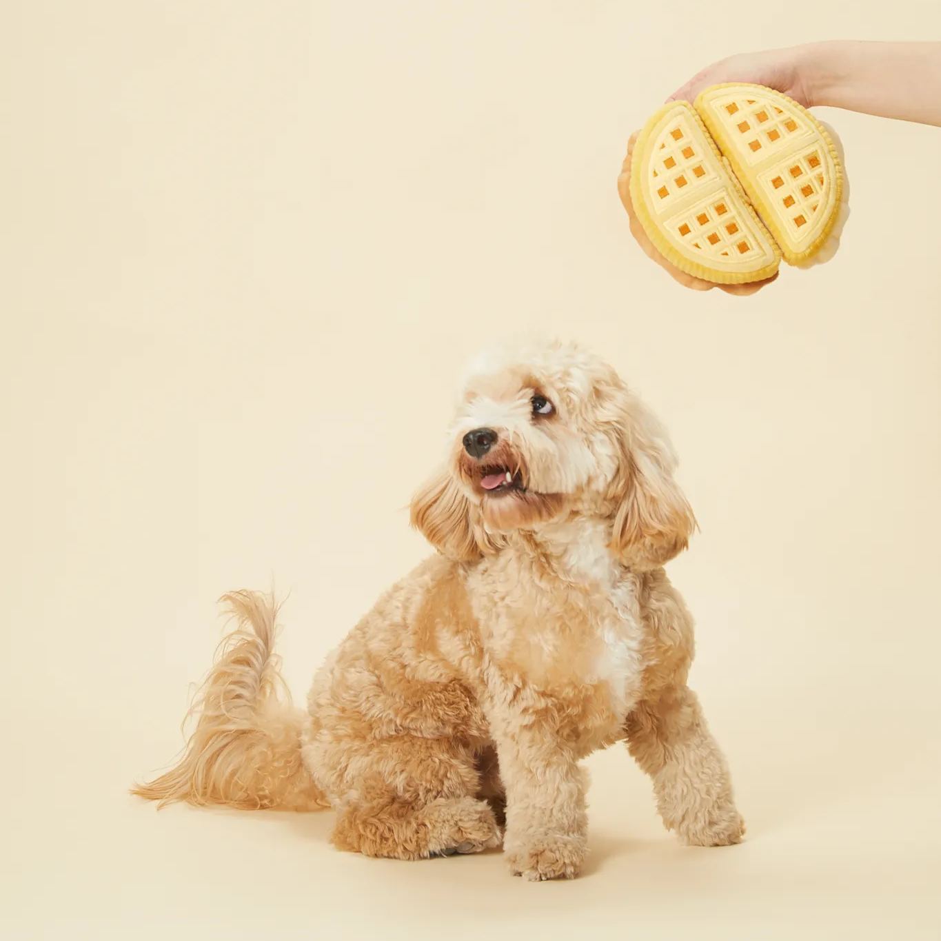 WAFFLE SET // snuffle toy