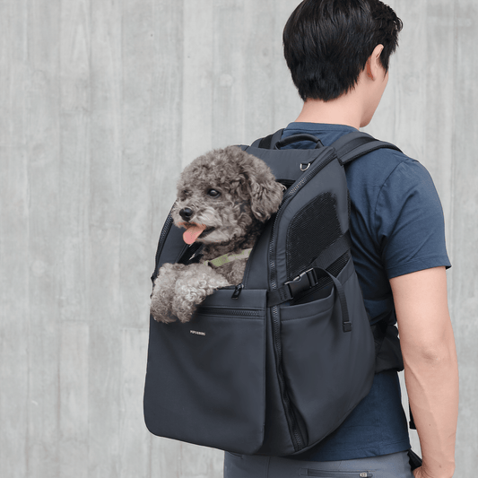TRAVELER // backpack carrier