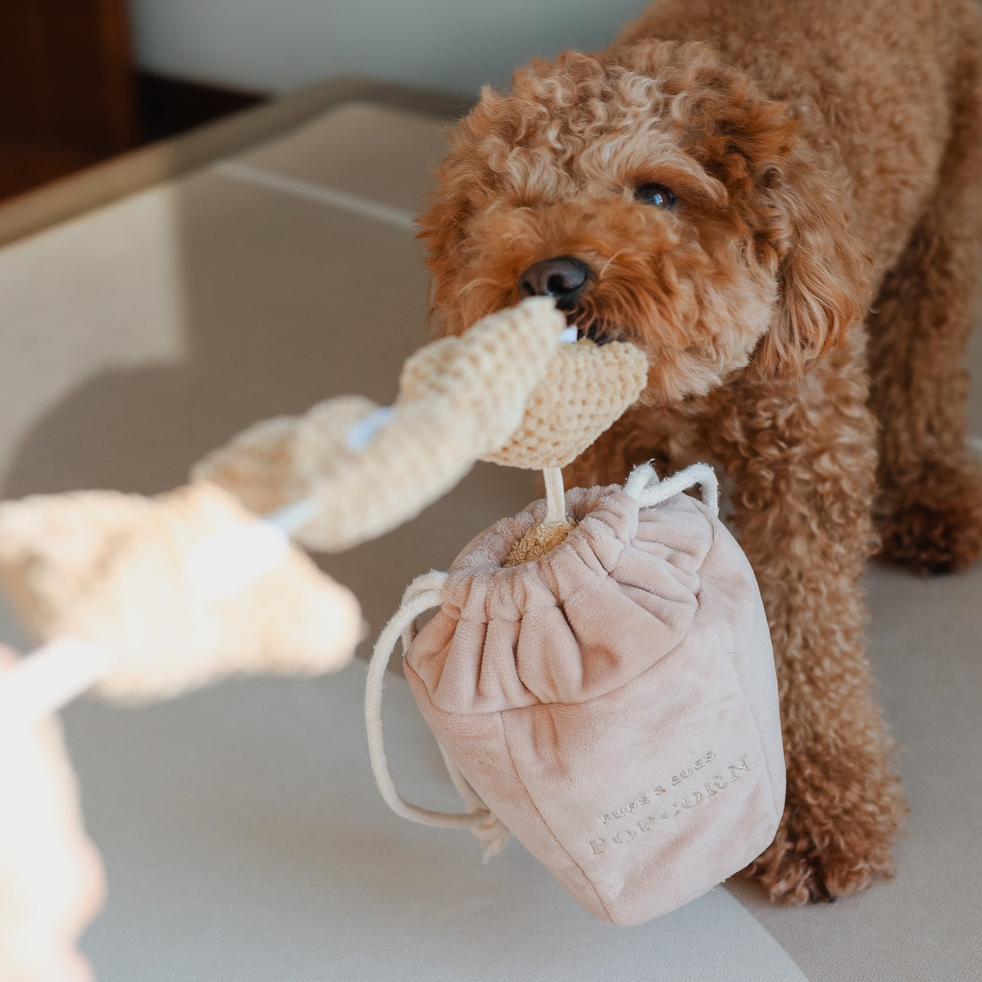 POPCORN // nosework toy