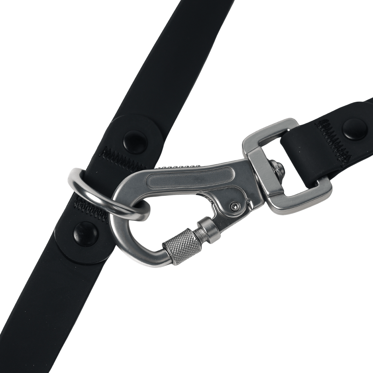 ROAM // crossbody leash