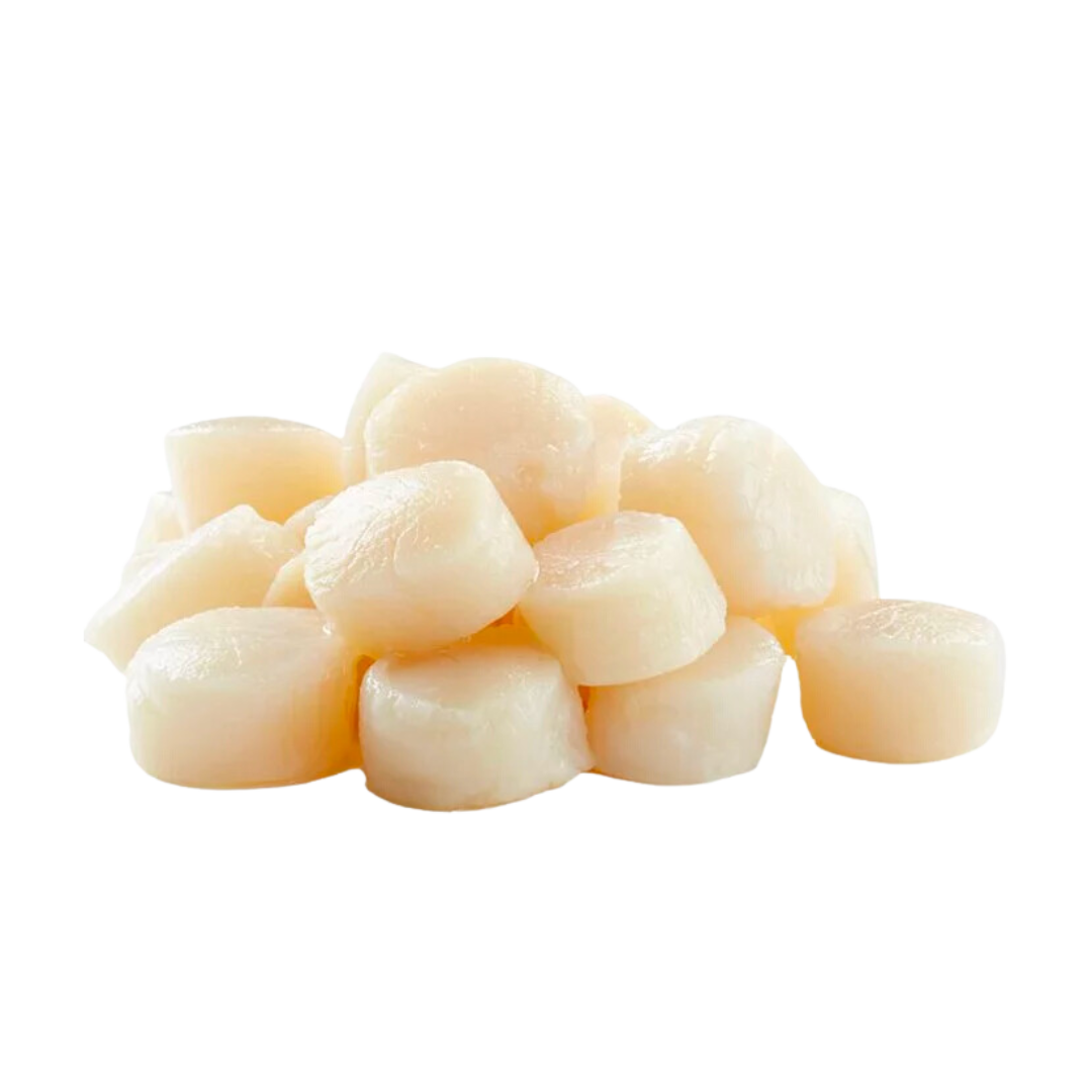 Scallop (per g) // RAW