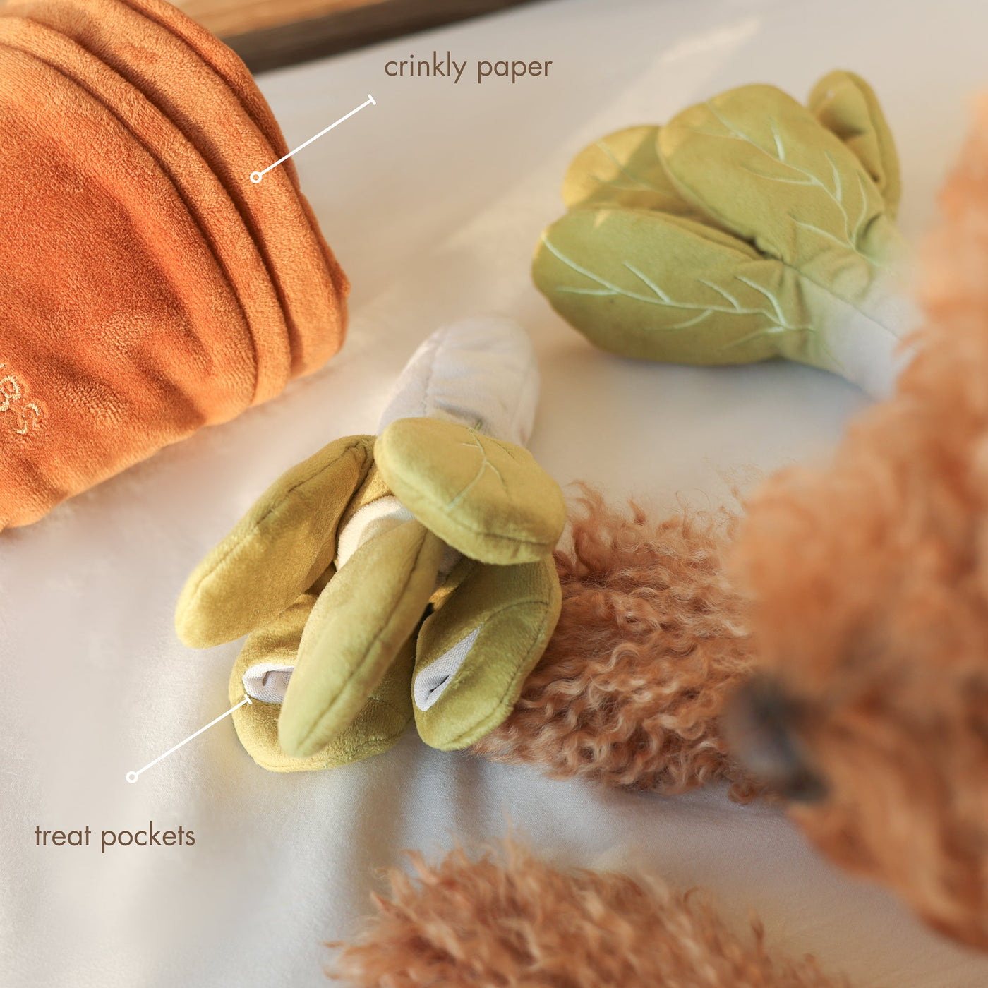 VEGGIE GARDEN // nosework toy