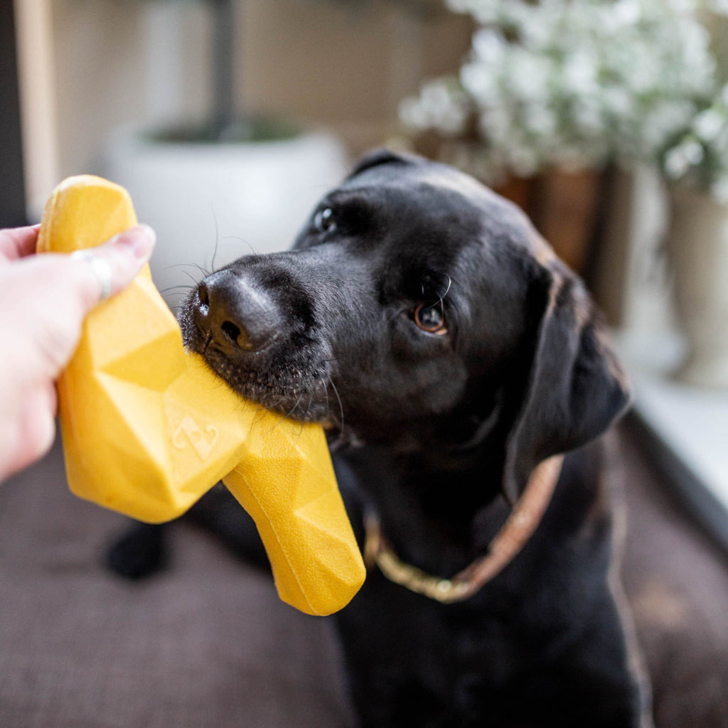 LIGHTNING BOLT // ZippyTuff+ toy