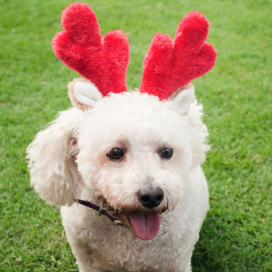 Christmas Antlers Headband