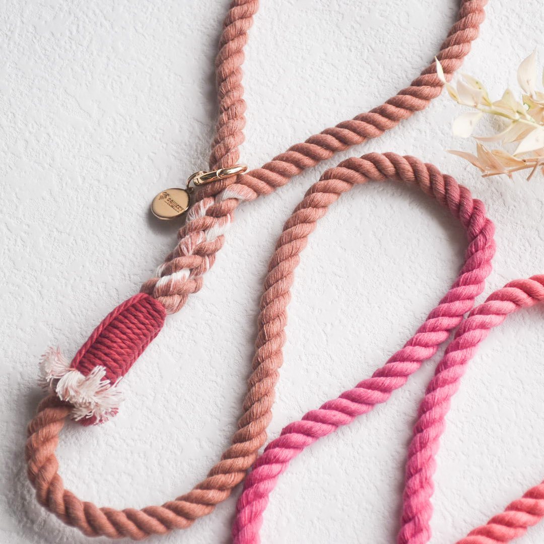 handmade dog leash in brown and red