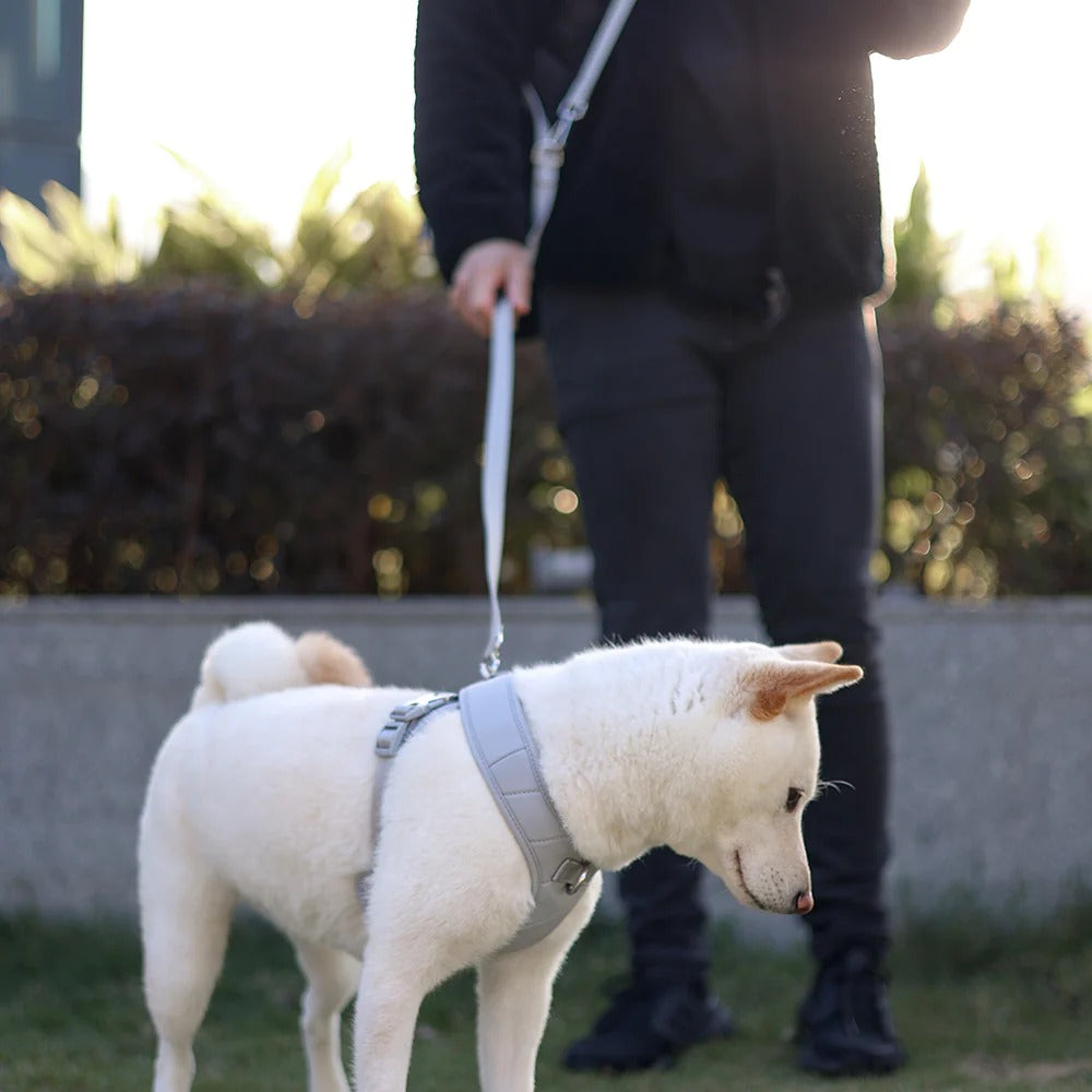 ROAM // crossbody leash