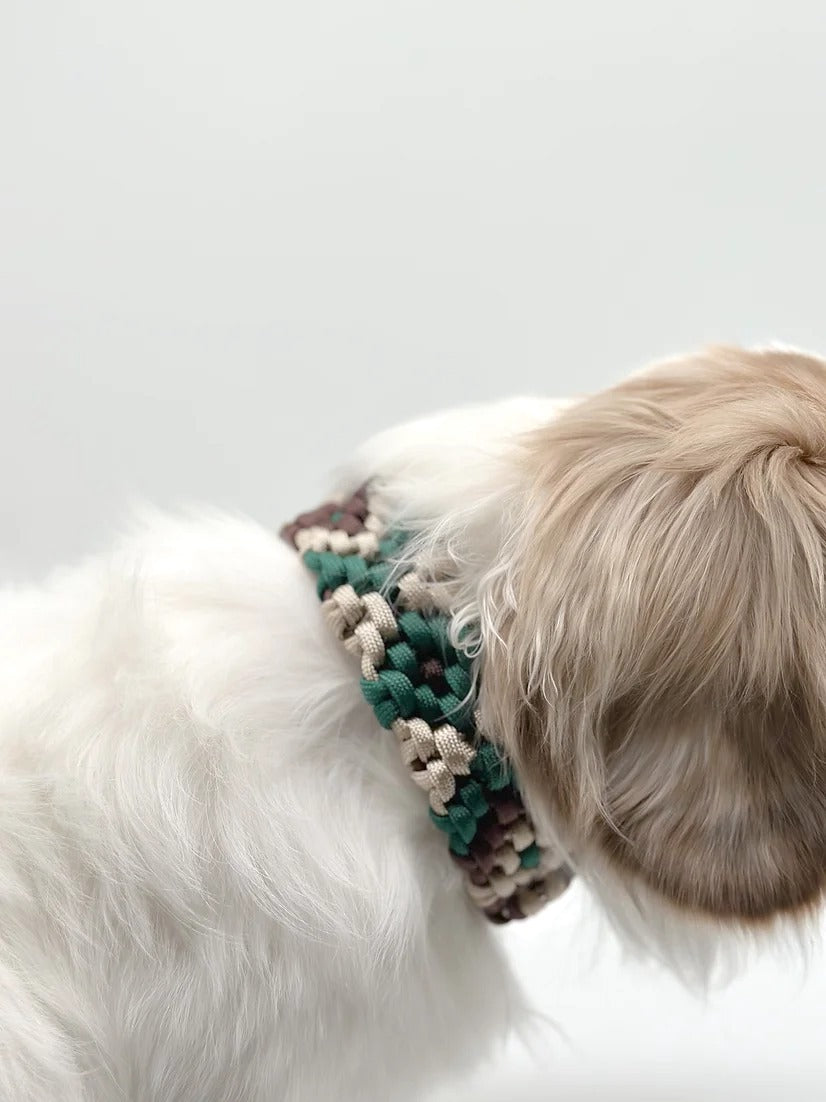 AMICA // martingale collar