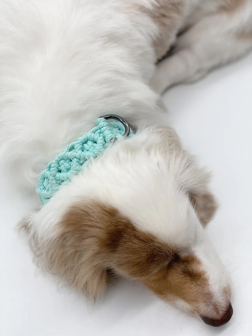 FLOS // adjustable collar