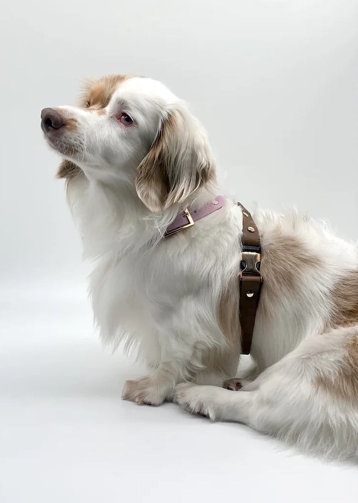 VOLO // figure-8 harness