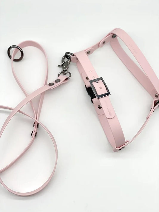 VOLO // roman harness