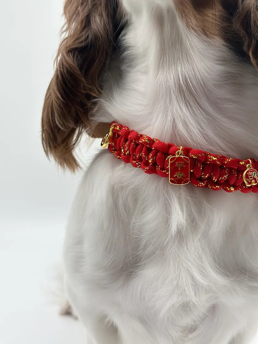 CNY // adjustable collar