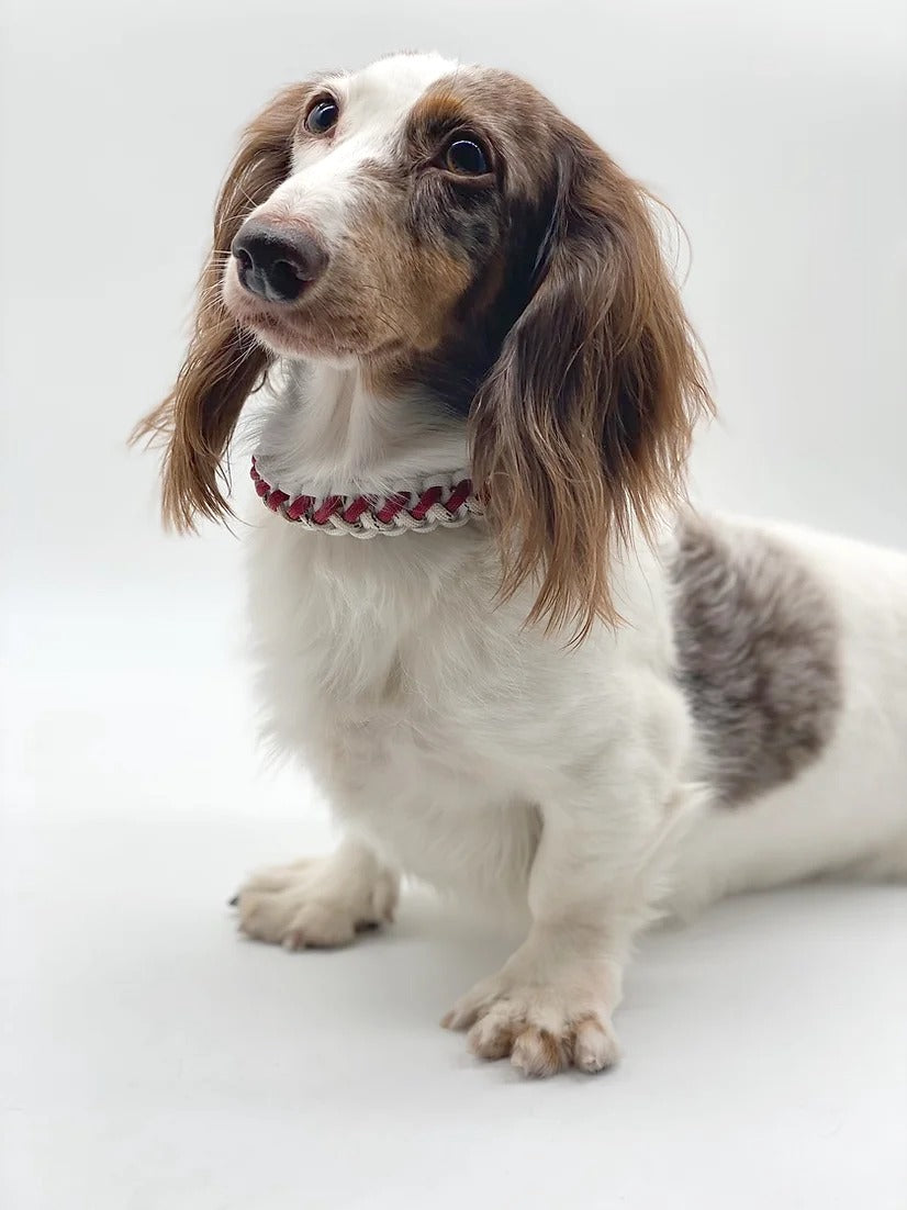 STAVROS // adjustable martingale collar