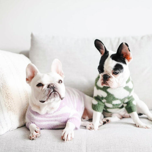 Pups Soft Cloud Sweater