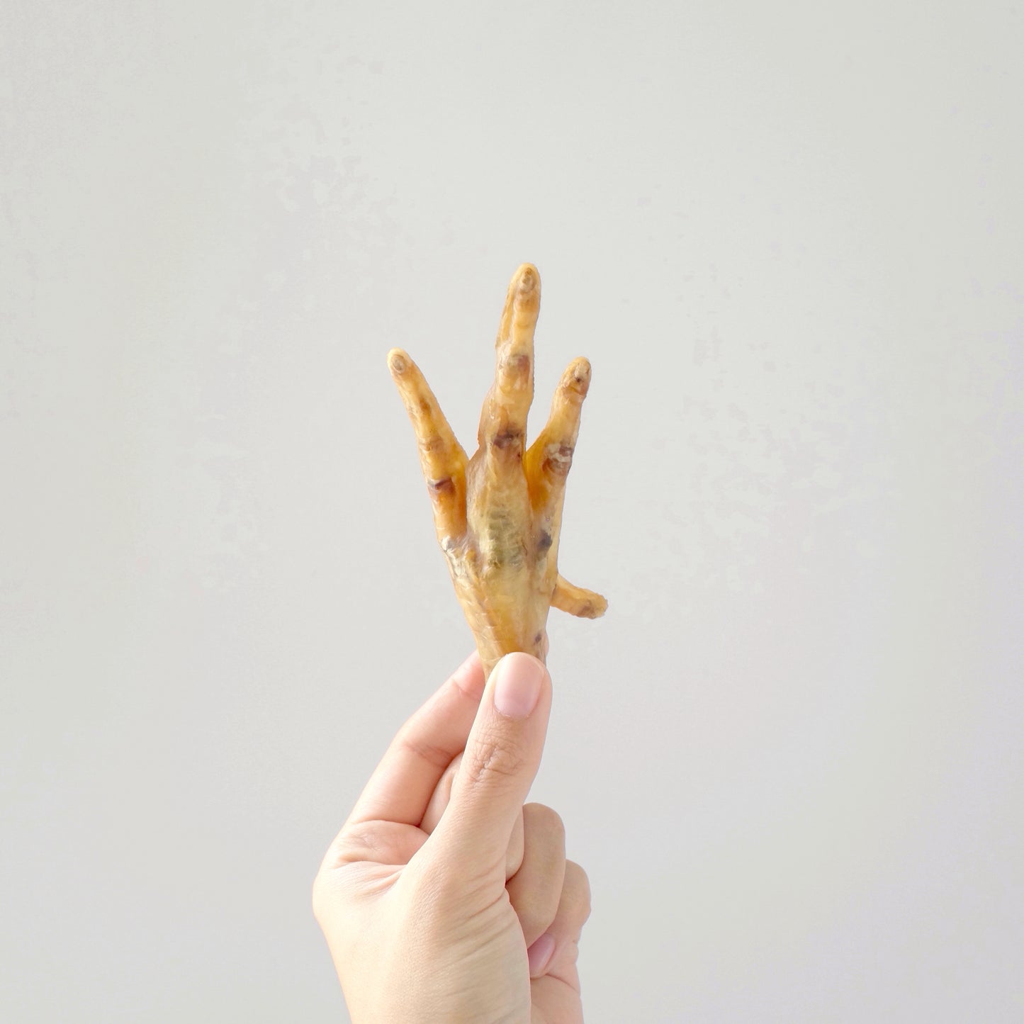 Zombie Chicken Feet // 怪獸雞腳