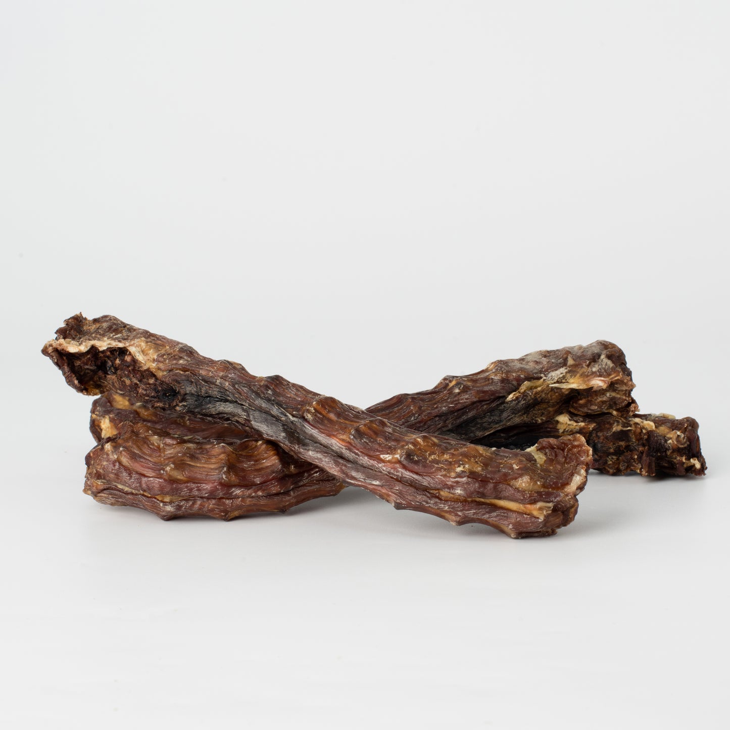 Duck Neck // 硬頸鴨鴨