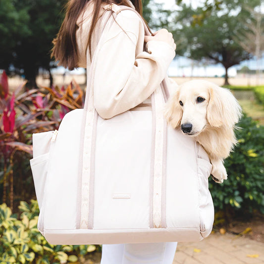 EVERYDAY // tote bag carrier