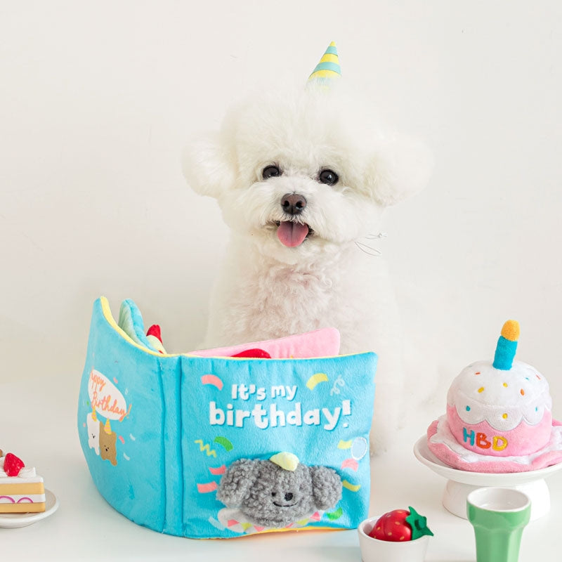 HAPPY BIRTHDAY // nosework book toy