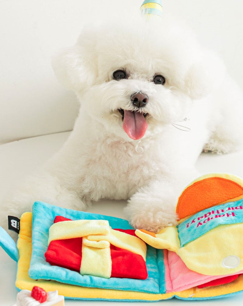HAPPY BIRTHDAY // nosework book toy