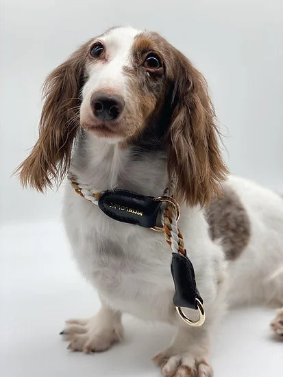 BELLUS // slip collar