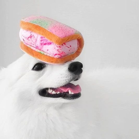 Ice Cream Sandwich Toy